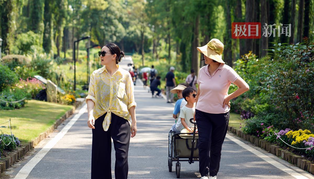 摩斯国际首页